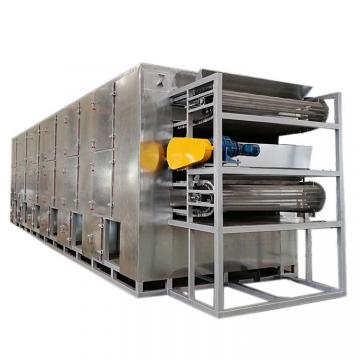 Continuous Automatic Shredded Radish Multi Layer Mesh Belt Dryer Drying Machine for Food Plant